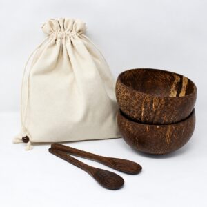 Set of 2 Natural Coconut Bowls