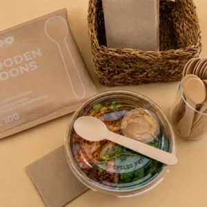 Compostable Wooden Spoons 10x100